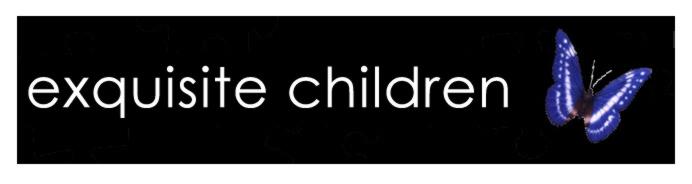 exquisite children banner