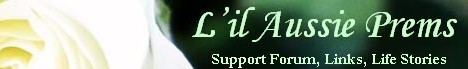 L'il Aussie Prems banner